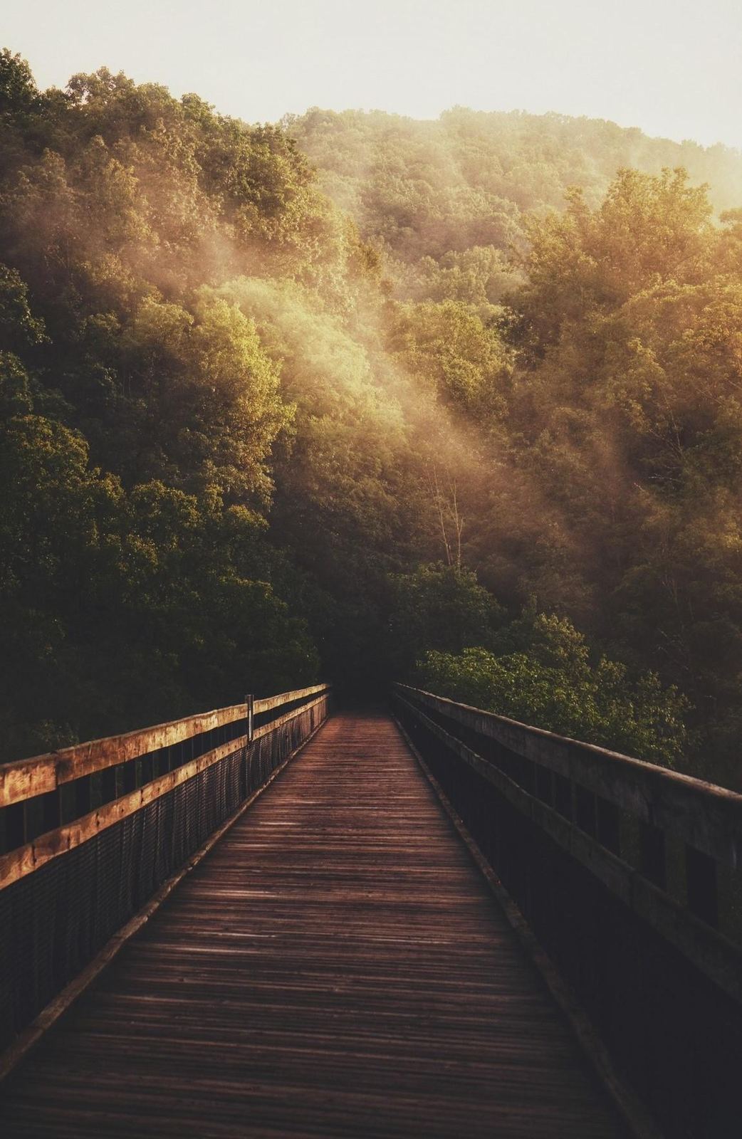 The Great Allegheny Passage trail in Ohiopyle State Park