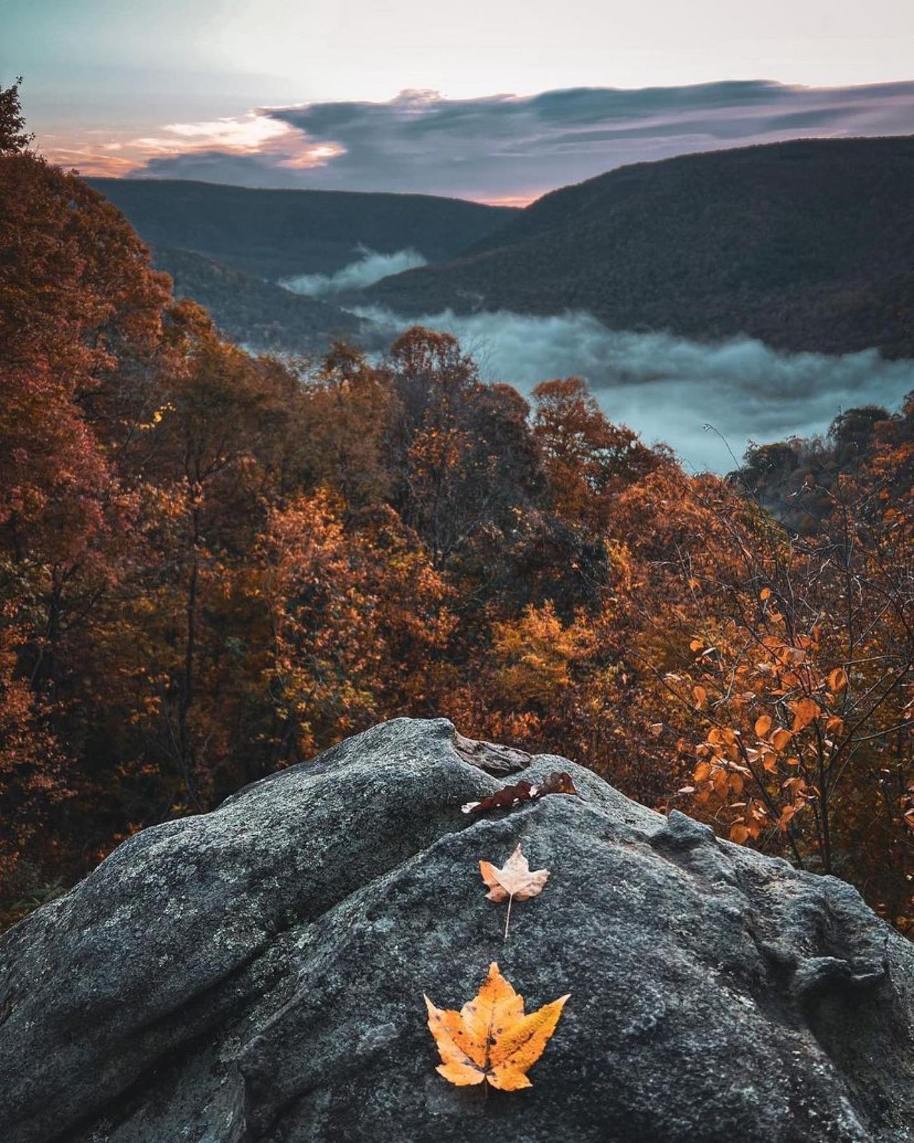 Cucumber Falls in Ohiopyle State Park during peak fall colors