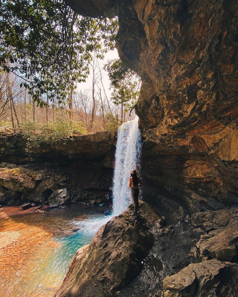 A view of Cucumber Falls in Ohiopyle during the Spring