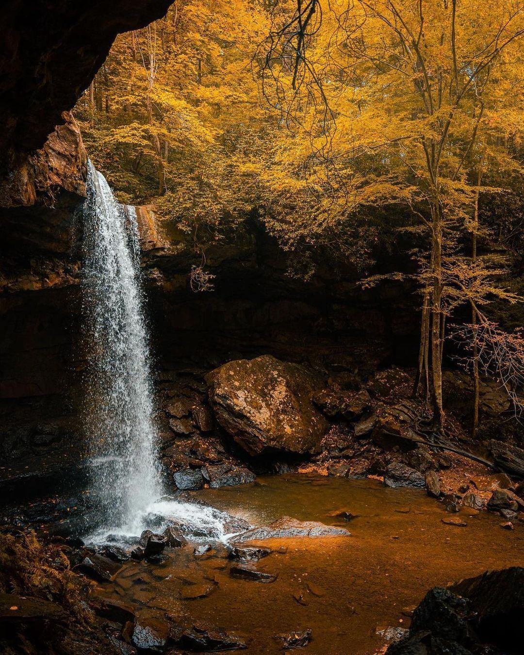 Cucumber Falls in Ohiopyle State Park during peak fall colors