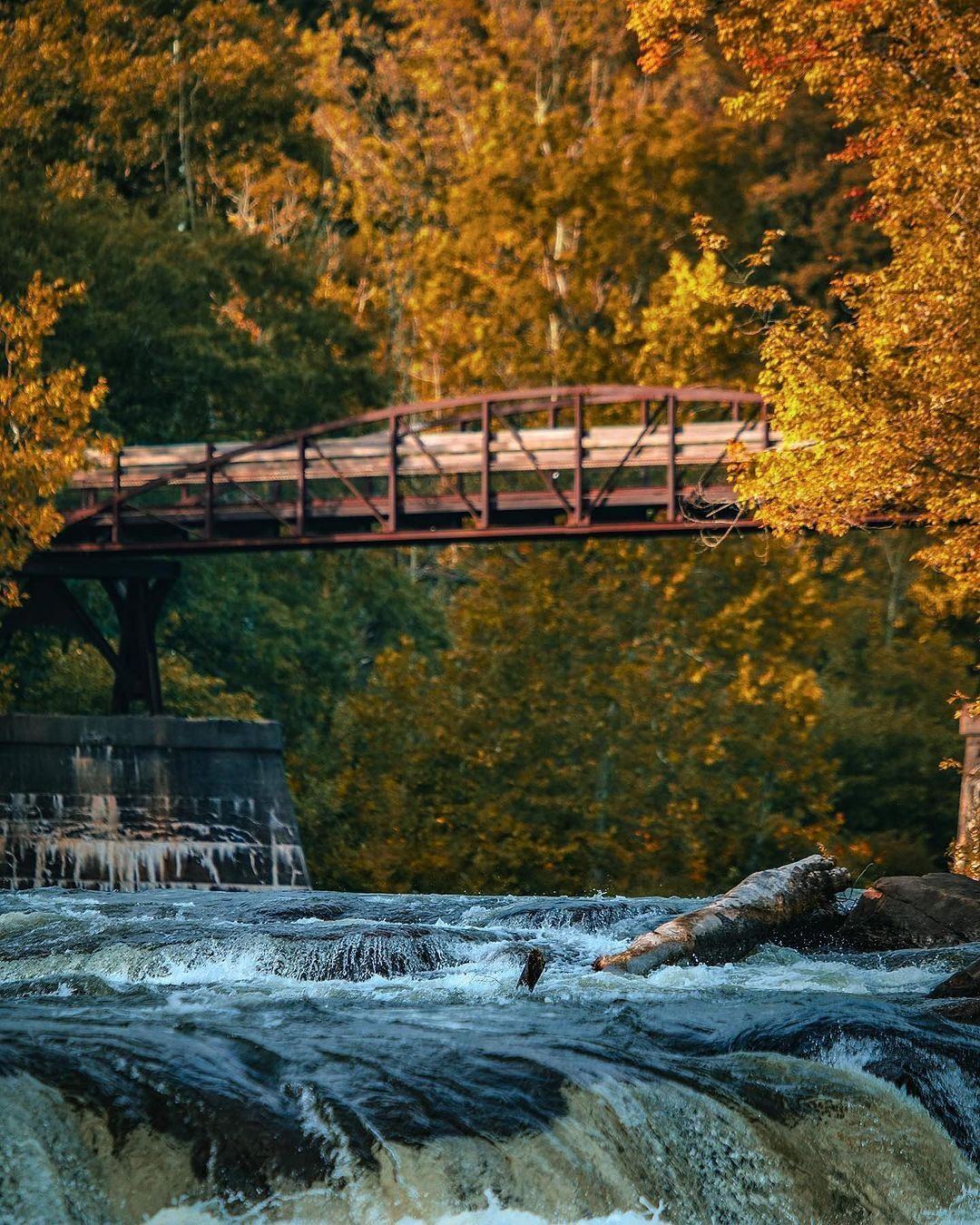 The Youghiogheny River and the Ohiopyle Low Bridge as seen from the Ferncliff Trail in Ohiopyle State Park