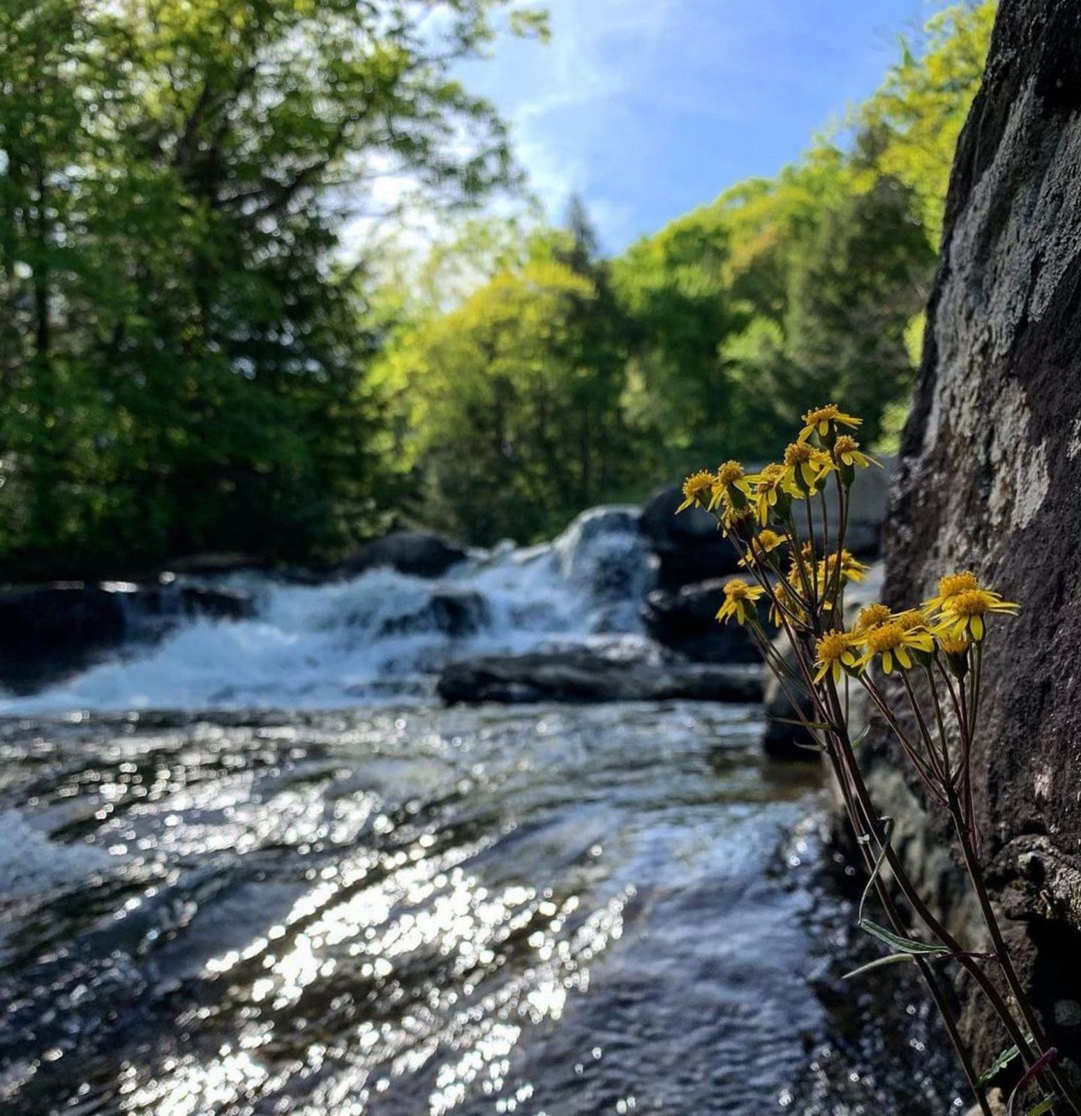 The Meadow Run Cascades in Ohiopyle State Park
