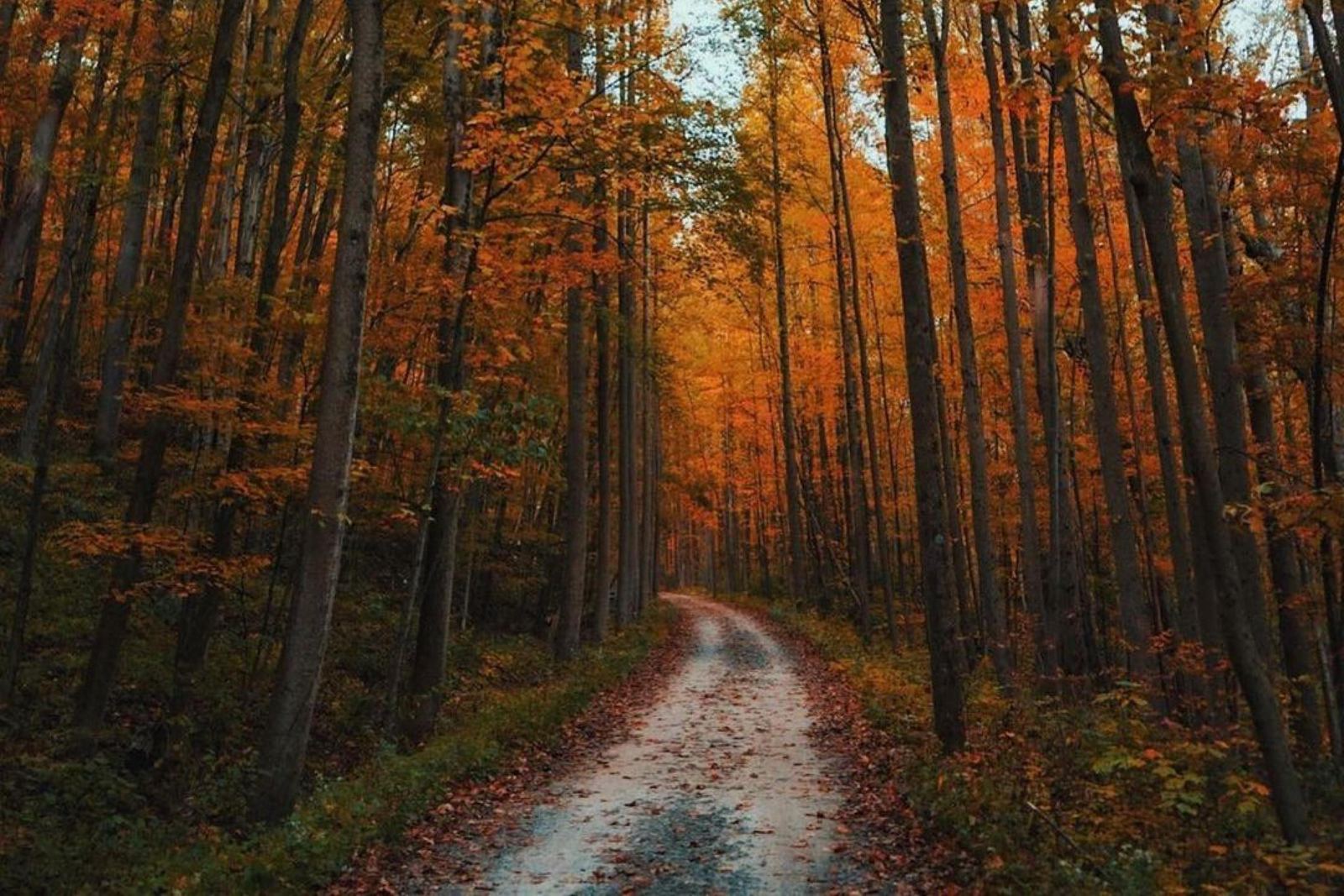 Great Allegheny Passage