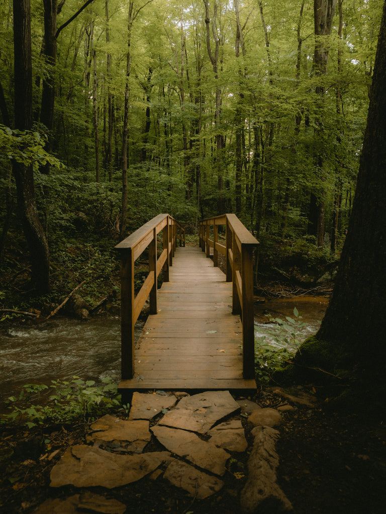 A bridge along Jonathan Run Falls in Ohiopyle State Park