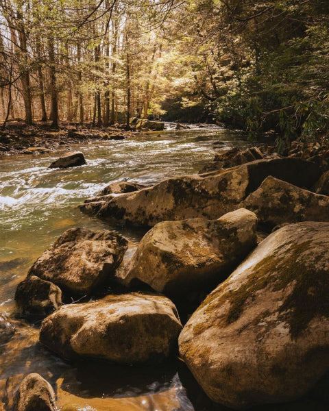 Labor Day Weekend 2025 at Ohiopyle State Park