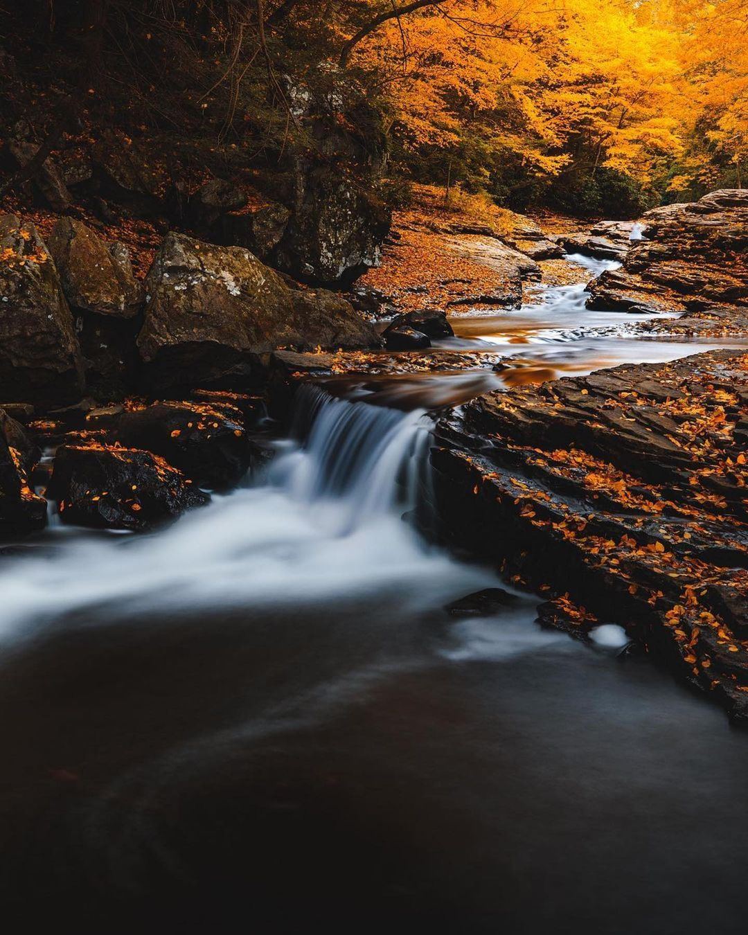 Planning Your Fall Foliage Trip to Ohiopyle State Park