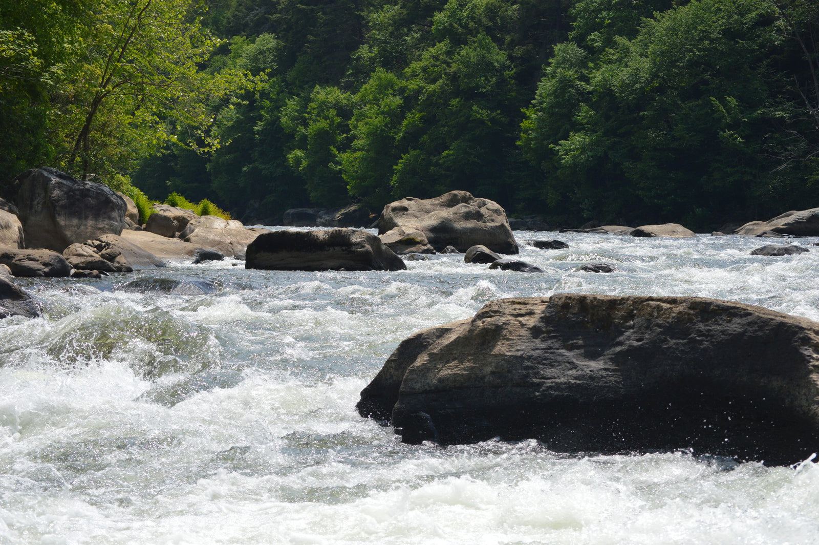 Ohiopyle Rafting along the Youghiogheny River