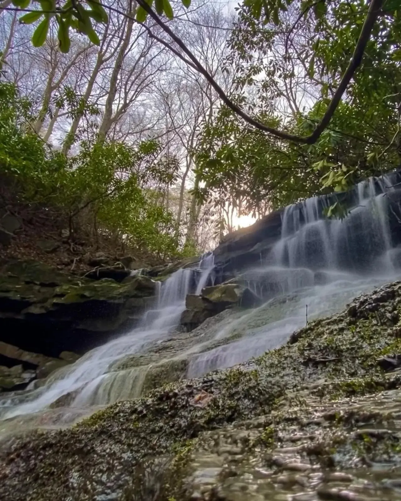 Sugar Run Falls in Ohiopyle State Park