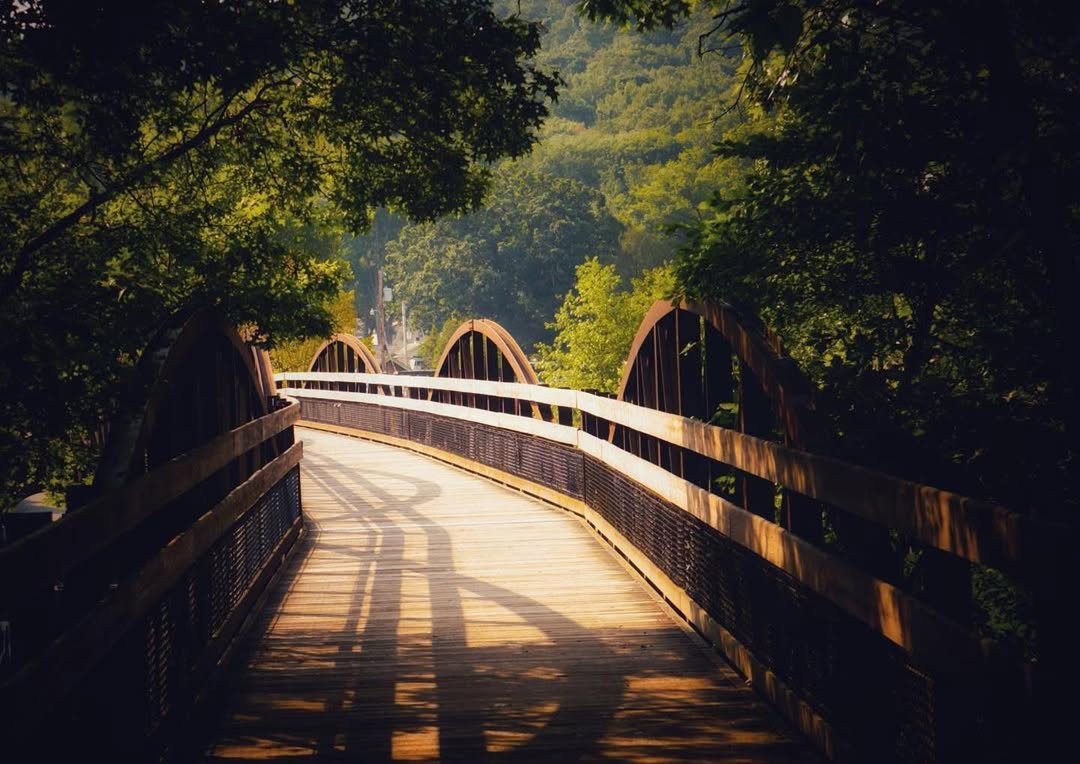 Low Ohiopyle Bridge